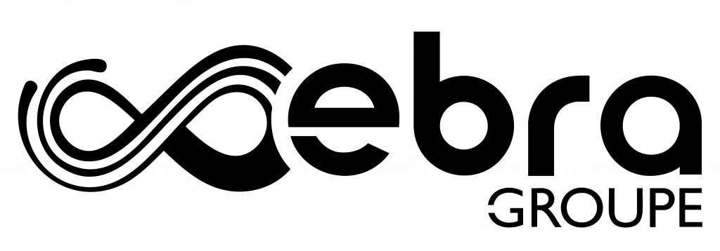 EBRA LOGO
