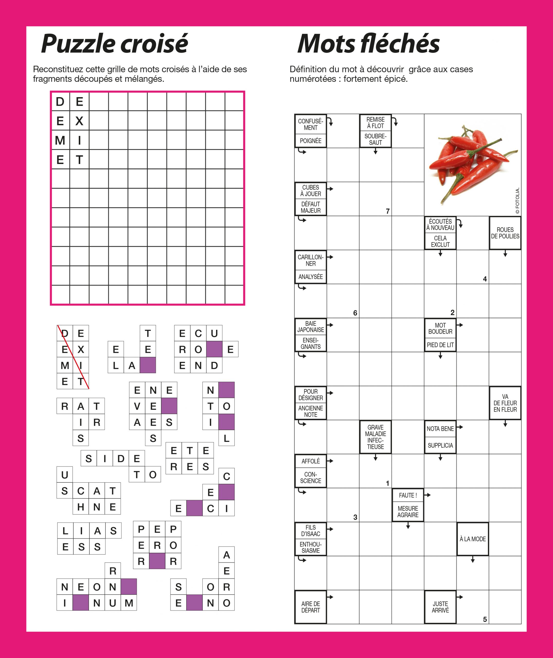 PUZZLE CROISÉ